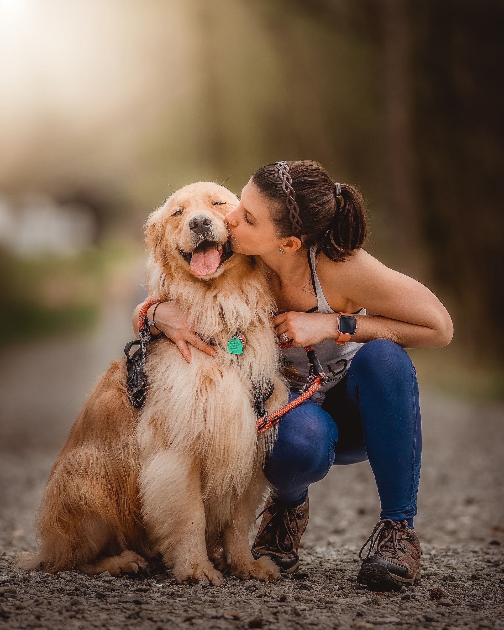 10 curiosidades sobre os cães