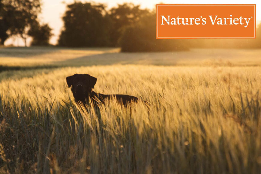 A True Instinct agora é a Nature's Variety - Conheça aqui a nova marca!
